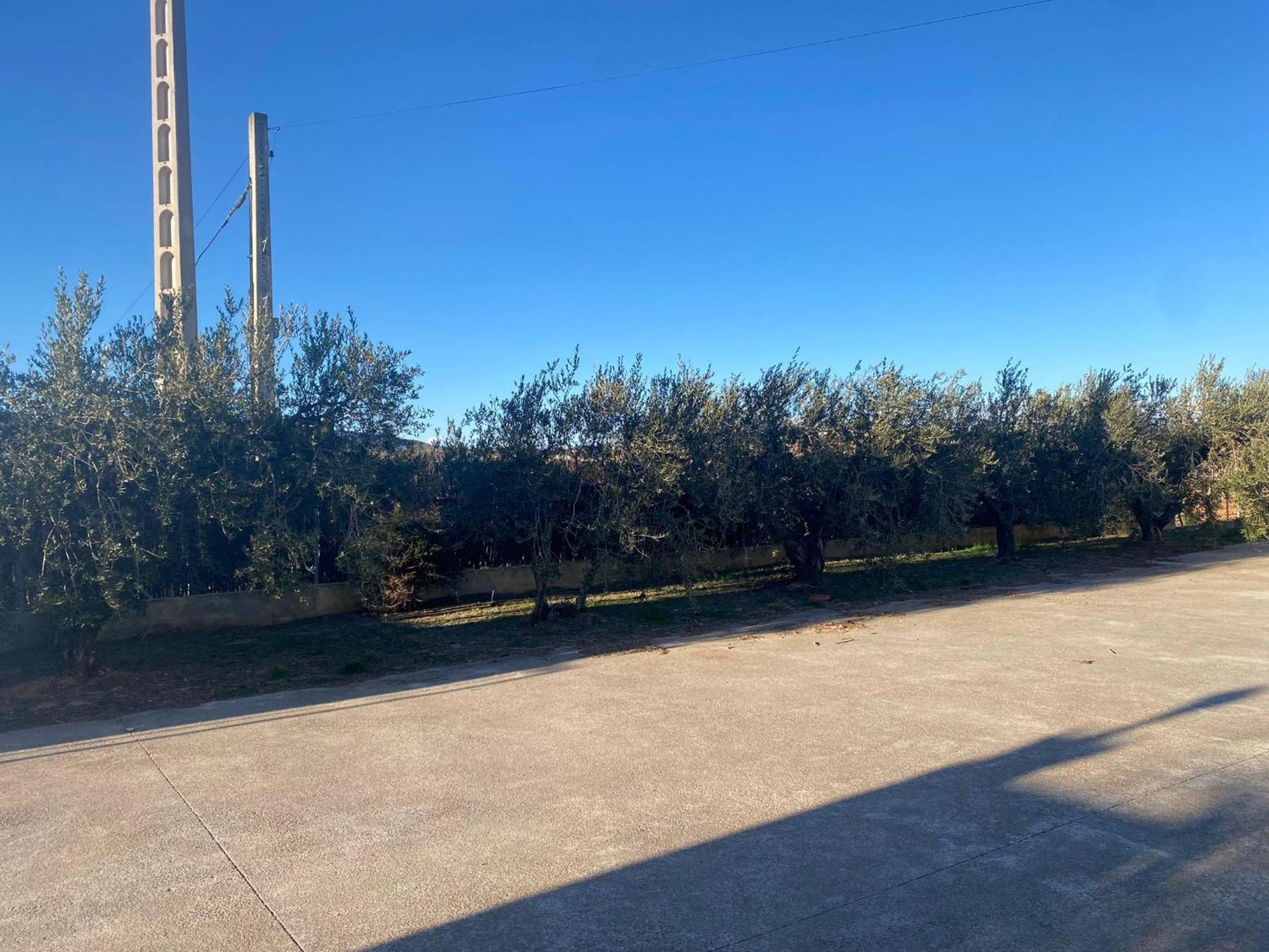 La Geneta Casa Vacacional Hébergement de vacances Vilobi Del Penedes