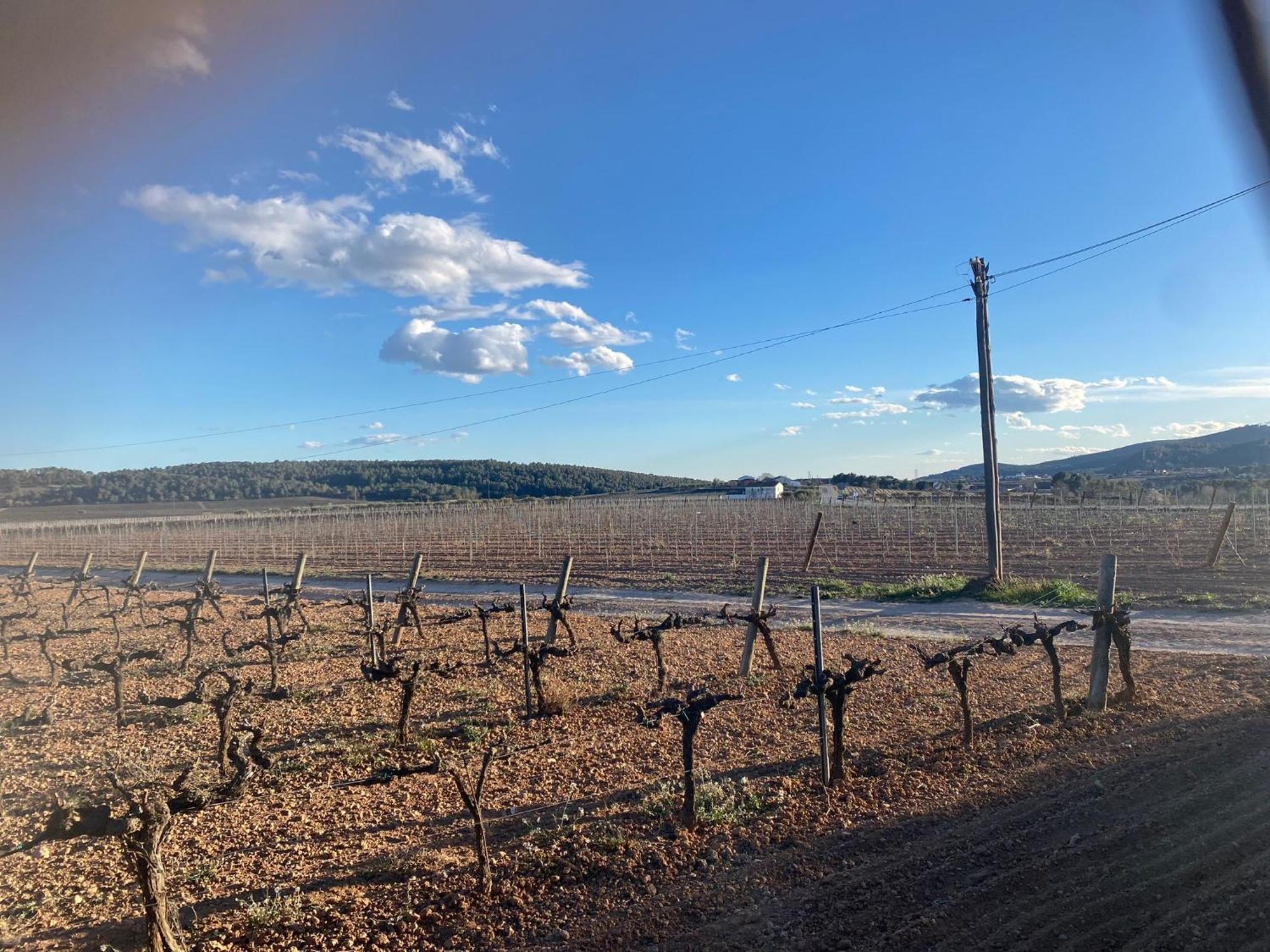 La Geneta Casa Vacacional Hébergement de vacances Vilobi Del Penedes