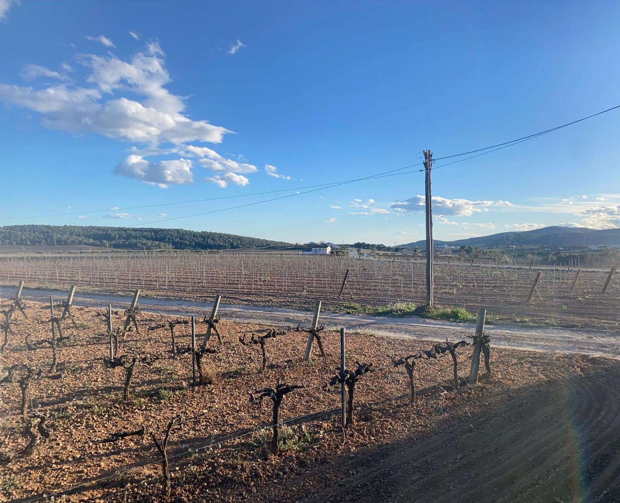 La Geneta Casa Vacacional Vilobi Del Penedes