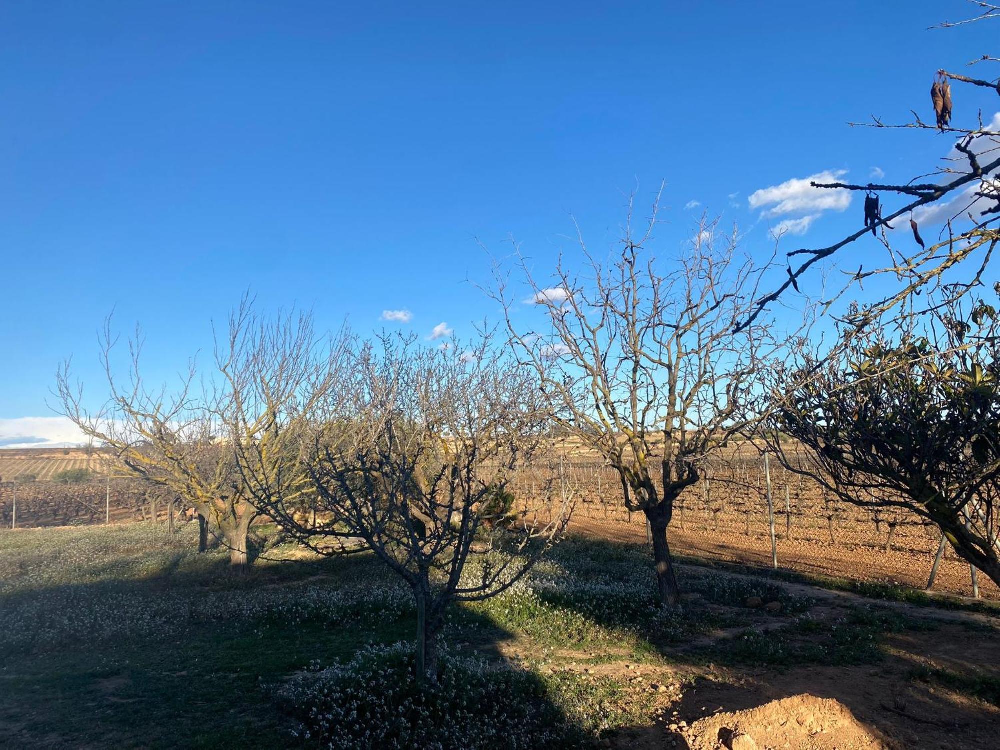 La Geneta Casa Vacacional Hébergement de vacances Vilobi Del Penedes