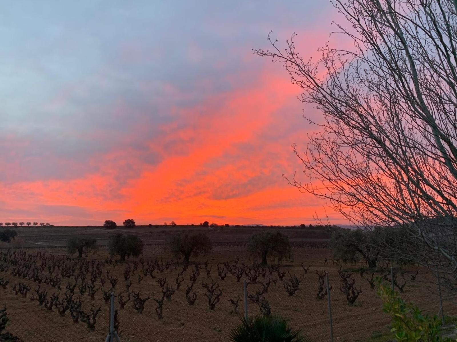 Hébergement de vacances La Geneta Casa Vacacional Vilobi Del Penedes