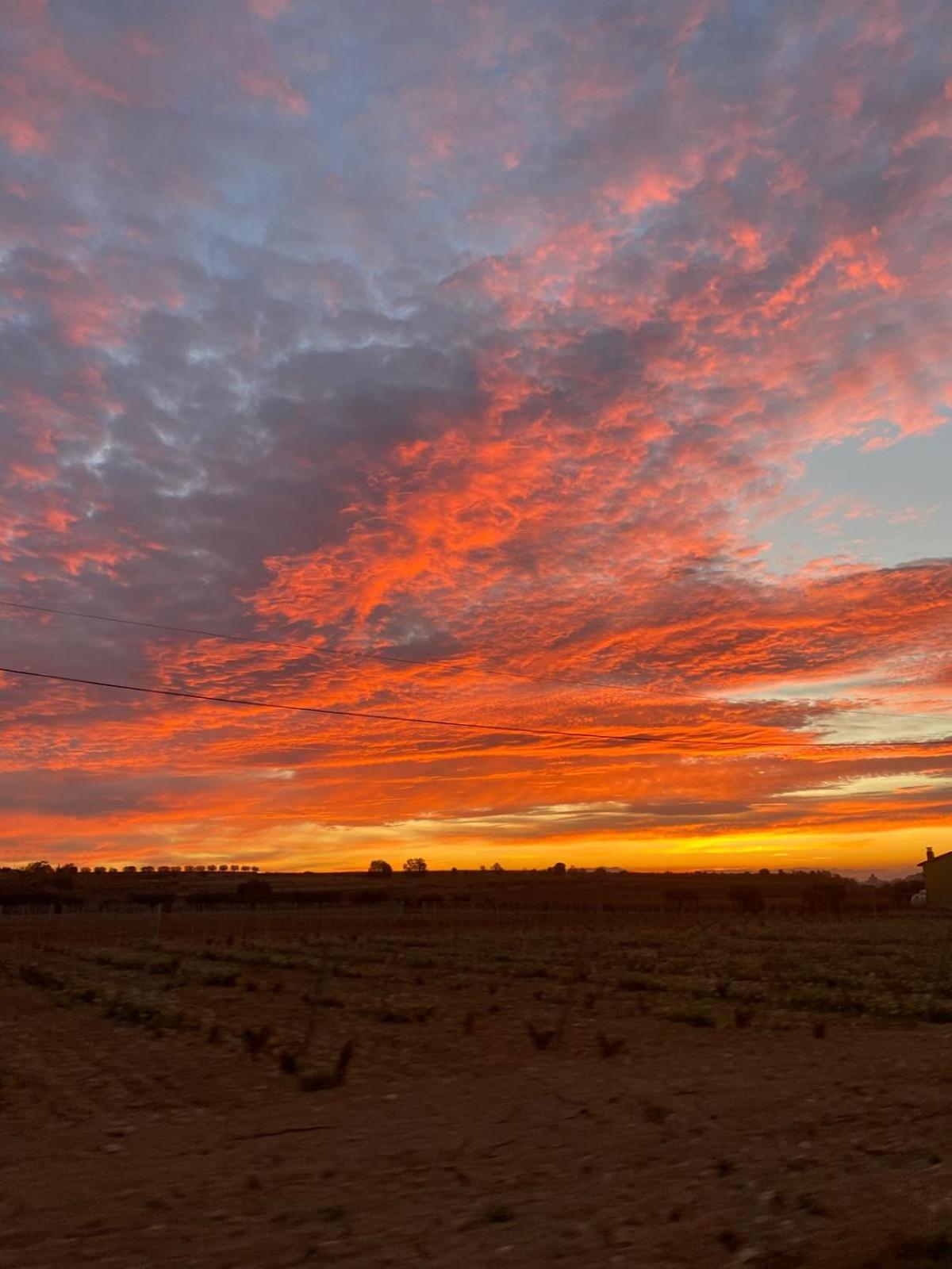 La Geneta Casa Vacacional Vilobi Del Penedes
